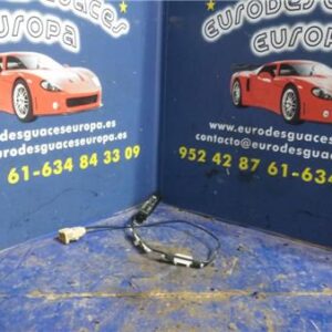 ANTENA ELECTRICA