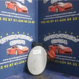 TAPA EXTERIOR COMBUSTIBLE