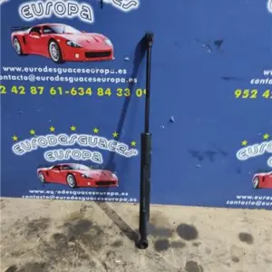 AMORTIGUADOR CAPO