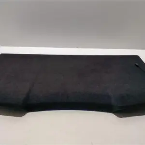 BANDEJA TRA.