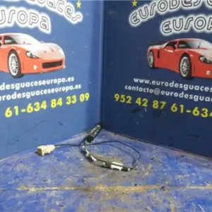 ANTENA ELECTRICA