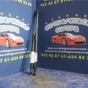AMORTIGUADOR PORTON
