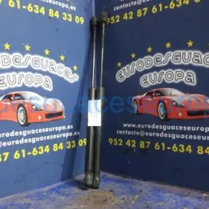 AMORTIGUADOR CAPO