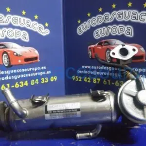 ELECTROVALVULA EGR
