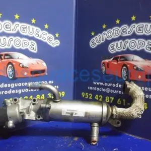 ELECTROVALVULA EGR