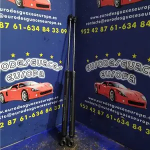 AMORTIGUADOR PORTON