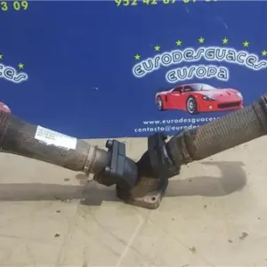 COLECTOR ESCAPE