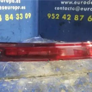 LUZ CENTRAL DE FRENO