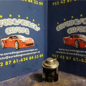 ELECTROVALVULA EGR