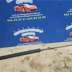 AMORTIGUADOR CAPO