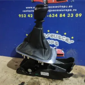CONJUNTO PALANCA CAMBIO VELOCIDAD