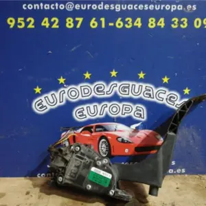 PEDAL ACELERADOR